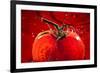 Tomato FreshSplash 2-Steve Gadomski-Framed Photographic Print