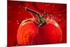 Tomato FreshSplash 2-Steve Gadomski-Mounted Photographic Print