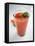 Tomato Juice-Antje Plewinski-Framed Stretched Canvas