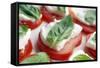 Tomato, Mozzarella And Basil Salad-Johnny Greig-Framed Stretched Canvas