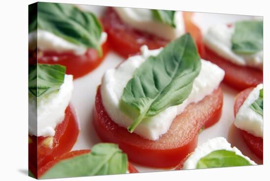 Tomato, Mozzarella And Basil Salad-Johnny Greig-Stretched Canvas