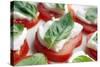 Tomato, Mozzarella And Basil Salad-Johnny Greig-Stretched Canvas