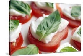 Tomato, Mozzarella And Basil Salad-Johnny Greig-Stretched Canvas