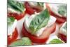 Tomato, Mozzarella And Basil Salad-Johnny Greig-Mounted Premium Photographic Print