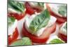 Tomato, Mozzarella And Basil Salad-Johnny Greig-Mounted Photographic Print