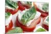Tomato, Mozzarella And Basil Salad-Johnny Greig-Mounted Photographic Print