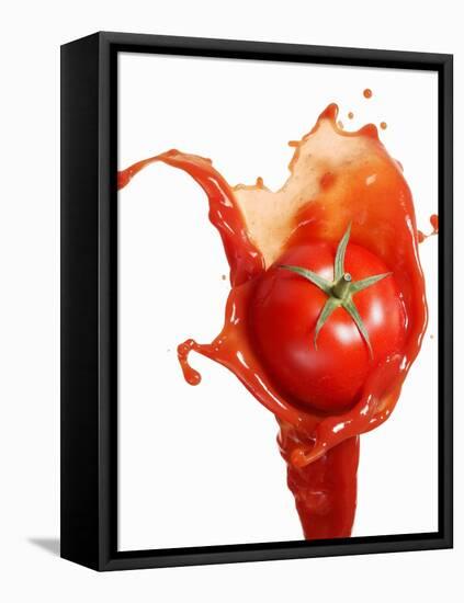 Tomato on Ketchup Splash-Kröger & Gross-Framed Stretched Canvas