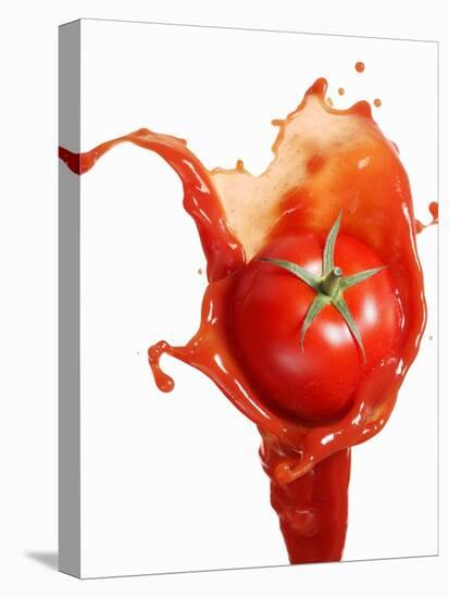 Tomato on Ketchup Splash-Kröger & Gross-Stretched Canvas