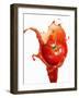 Tomato on Ketchup Splash-Kröger & Gross-Framed Premium Photographic Print
