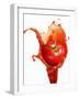 Tomato on Ketchup Splash-Kröger & Gross-Framed Premium Photographic Print