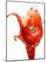 Tomato on Ketchup Splash-Kröger & Gross-Mounted Premium Photographic Print