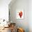 Tomato on Ketchup Splash-Kröger & Gross-Framed Photographic Print displayed on a wall