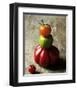 Tomato Pyramid-Camille & Gaillard-Framed Art Print