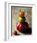 Tomato Pyramid-Camille & Gaillard-Framed Art Print