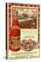 Tomato Sauce Catsup Sniders Oysters Tomatoes, USA, 1900-null-Stretched Canvas