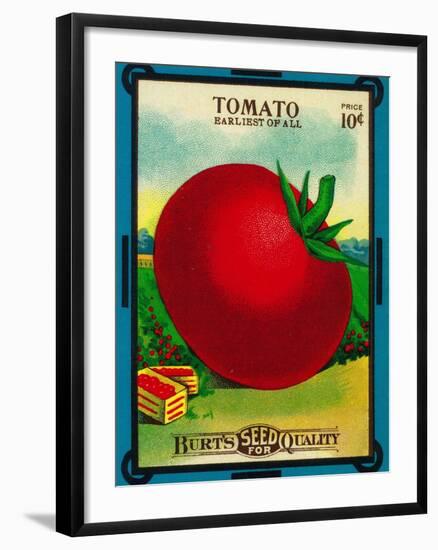 Tomato Seed Packet-Lantern Press-Framed Art Print