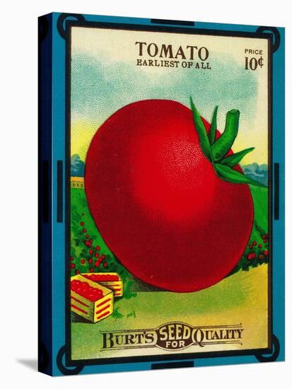 Tomato Seed Packet-Lantern Press-Stretched Canvas