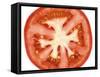 Tomato Slice-Steven Morris-Framed Stretched Canvas