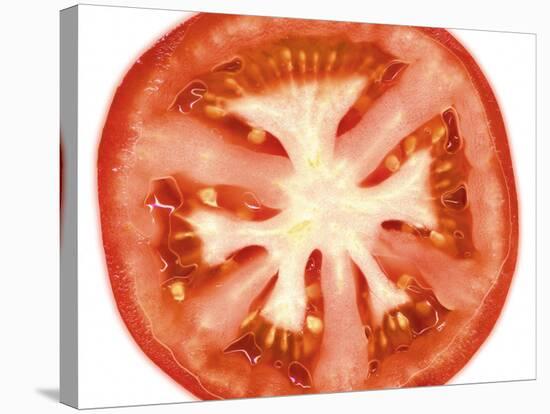 Tomato Slice-Steven Morris-Stretched Canvas