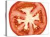 Tomato Slice-Steven Morris-Stretched Canvas