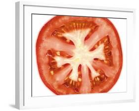 Tomato Slice-Steven Morris-Framed Photographic Print