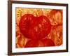 Tomato Slices (Filling the Picture)-Foodcollection-Framed Photographic Print