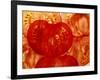 Tomato Slices (Filling the Picture)-Foodcollection-Framed Photographic Print