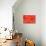 Tomato Slices-Steve Gadomski-Stretched Canvas displayed on a wall