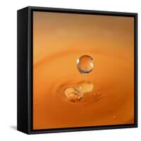 Tomato Soup Drop I-Tammy Putman-Framed Stretched Canvas