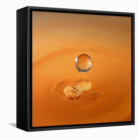 Tomato Soup Drop I-Tammy Putman-Framed Stretched Canvas