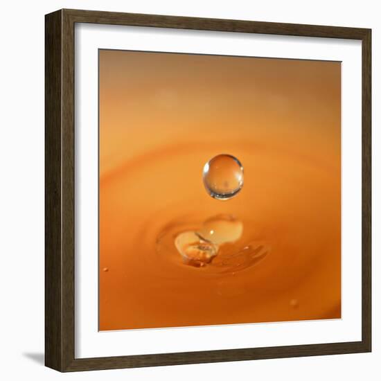 Tomato Soup Drop I-Tammy Putman-Framed Photographic Print