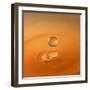 Tomato Soup Drop I-Tammy Putman-Framed Photographic Print