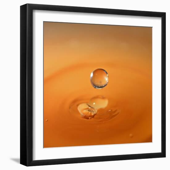 Tomato Soup Drop I-Tammy Putman-Framed Photographic Print