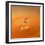 Tomato Soup Drop I-Tammy Putman-Framed Photographic Print