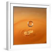 Tomato Soup Drop I-Tammy Putman-Framed Photographic Print