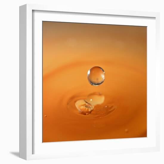 Tomato Soup Drop I-Tammy Putman-Framed Photographic Print