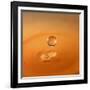 Tomato Soup Drop I-Tammy Putman-Framed Photographic Print