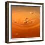 Tomato Soup Drop II-Tammy Putman-Framed Photographic Print