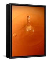 Tomato Soup Drop III-Tammy Putman-Framed Stretched Canvas