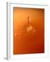 Tomato Soup Drop III-Tammy Putman-Framed Photographic Print