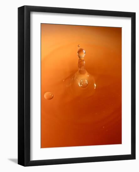 Tomato Soup Drop III-Tammy Putman-Framed Photographic Print