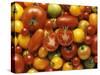 Tomato Still Life-null-Stretched Canvas