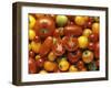 Tomato Still Life-null-Framed Photographic Print