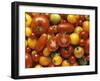 Tomato Still Life-null-Framed Photographic Print