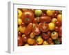 Tomato Still Life-null-Framed Photographic Print