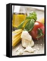 Tomato with Spaghetti, Parmesan, Basil and Olive Oil-null-Framed Stretched Canvas