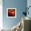 Tomato-null-Framed Art Print displayed on a wall