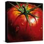 Tomato-null-Stretched Canvas