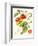 Tomatoes, 1994-Margaret Ann Eden-Framed Giclee Print