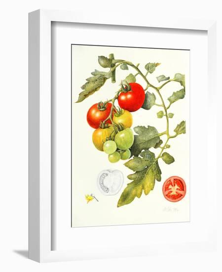 Tomatoes, 1994-Margaret Ann Eden-Framed Giclee Print